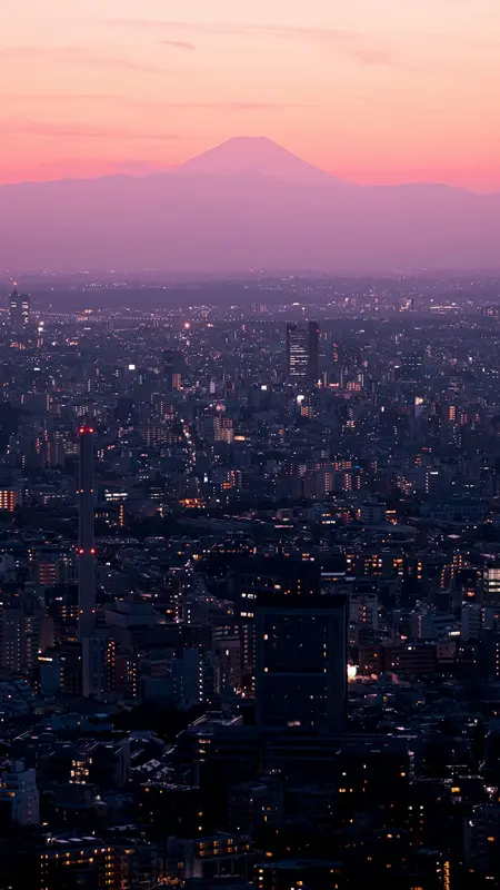 Donald.Tokyo Premium Domain